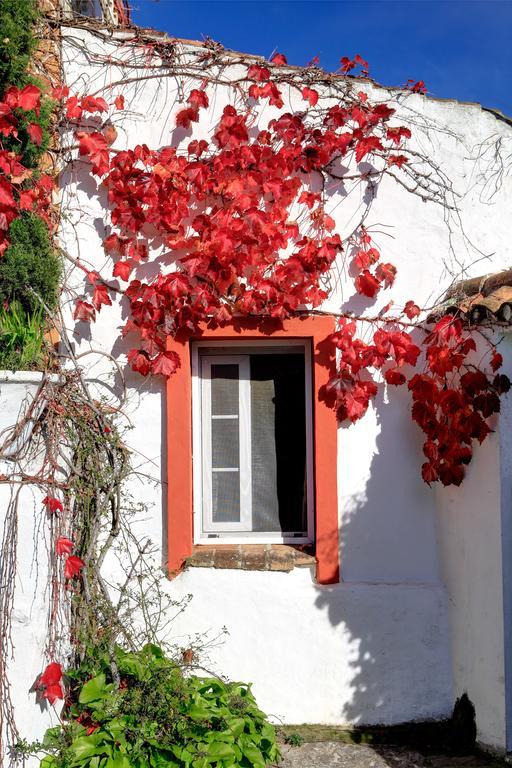 Гостевой дом Cortijo La Hoya Эль-Бухео Экстерьер фото
